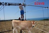 GJ6YB Image
